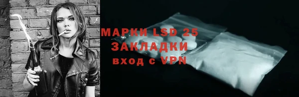 крисы Аркадак