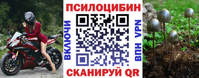 Галлюциногенные грибы ЛСД  купить наркоту  kraken tor  Рудня 